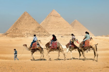 Интересные факты о Каире