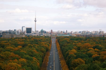 Тиргартен в Берлине