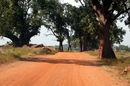 Буркина Фасо: интересные факты, и что посмотреть