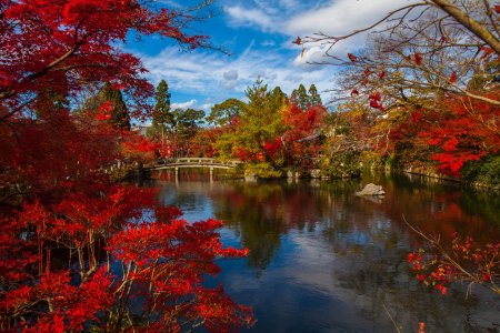Интересные факты о Киото